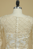 2024 mère de la mariée Robes fourreau Avec Applique manches 3/4