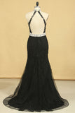 2024 Taille Noir Robes de bal Gaine col haut dos ouvert Tulle Avec Applique &amp; Strass