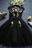 2024 Black Scoop A Line Tulle avec des robes Homecoming Applique