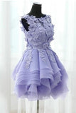 2024 A Line Scoop Organza Avec Applique Short / Mini Homecoming Dresses