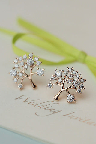 Boucles d&#39;oreilles en strass belles dames