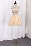 2024 Homecoming Robes Scoop A-Line perlée Bodice Tulle Short / Mini