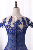 2024 Dark Royal Blue Robe de soirée Scoop Cap Sleeves See-Through Lace With Applique A Line