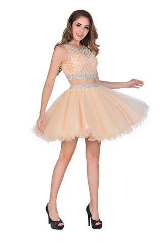 2024 A-Line Homecoming Robes Short / Mini Scoop perlée Bodice Tulle