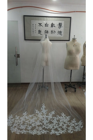 Magnifique tulle de voile de mariage avec des appliques