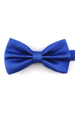 Lumineux Bleu Royal Bow Tie # LJC8005